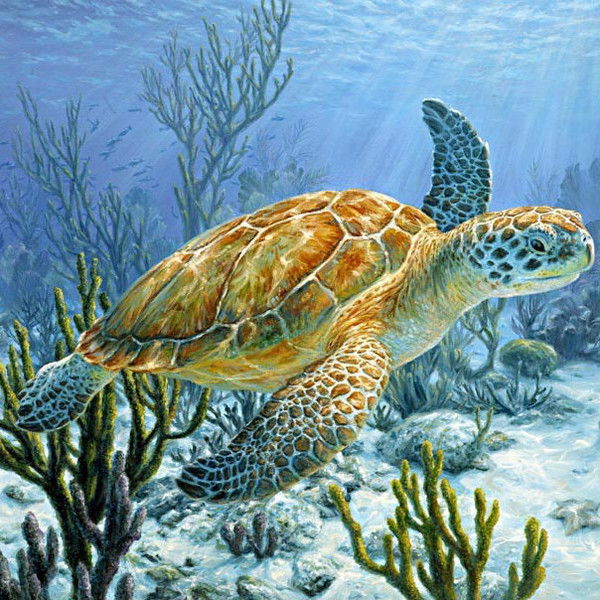 Наталия Волчек