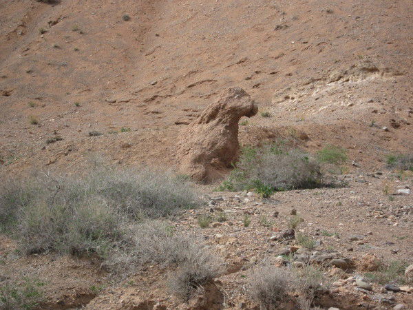 Валентина Мухачева