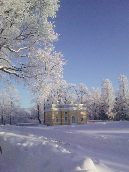 Игорь Москаленко