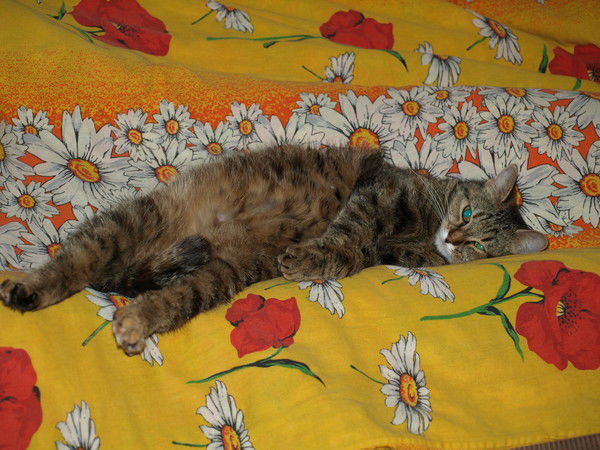 Юлия Александровна