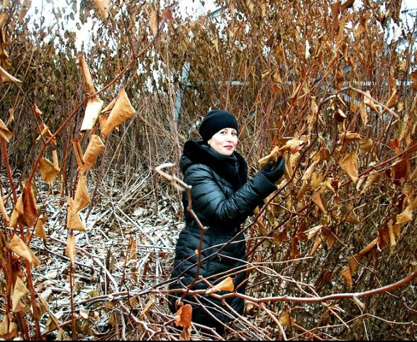 Марина Проводилова