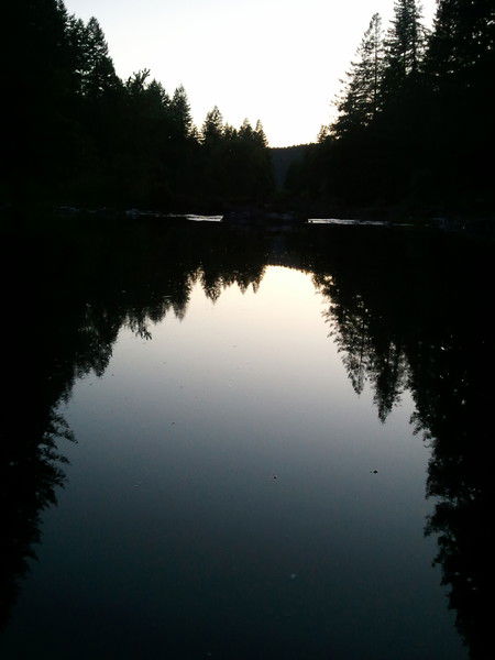 Александр Тан