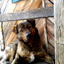 Андрей Егорченко