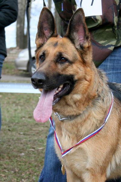 Маргарита Липатова