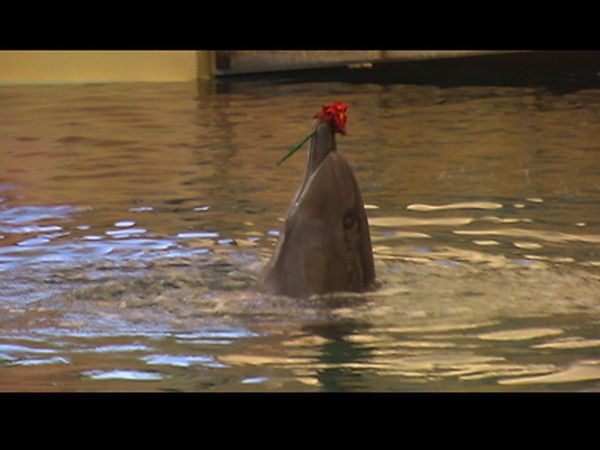 Ольга Ганзен