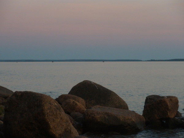 Виктор Шелепов