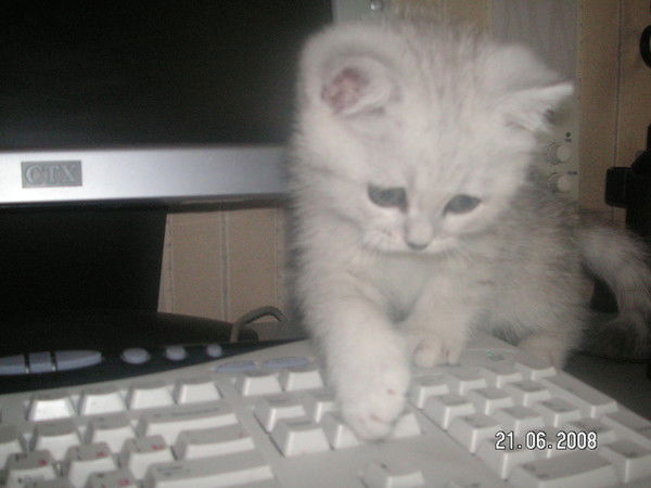 Наталья Иванникова