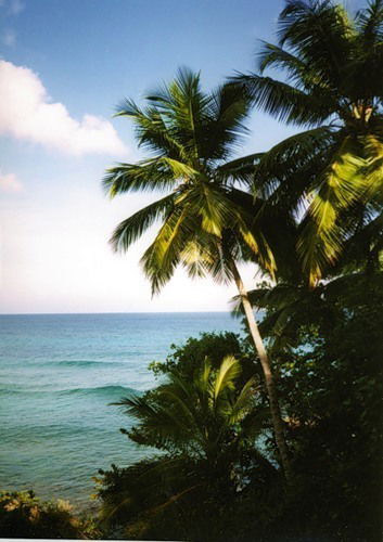 Марина Москаленко