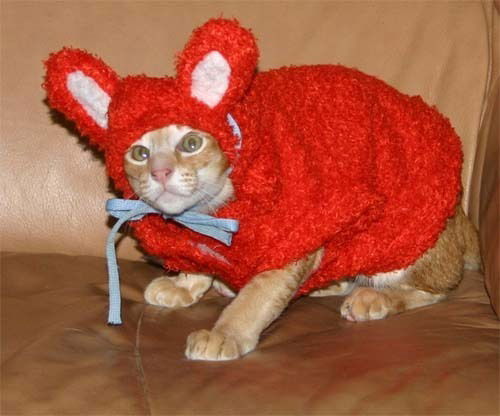 Теренникова Евгения