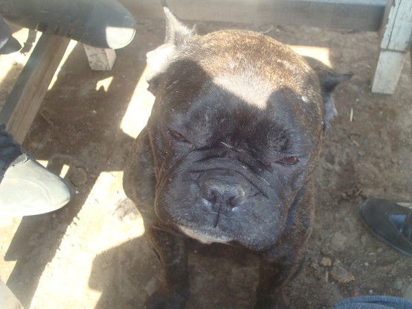 Вопросы О Сексе Пупкин