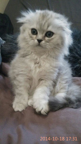 ))))) Оксанчик