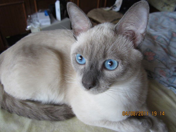 Ольга Алексеевна Грачёва