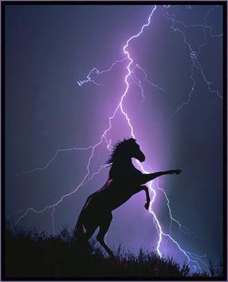 Александр Б