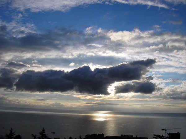 Светлана Тюкалкина