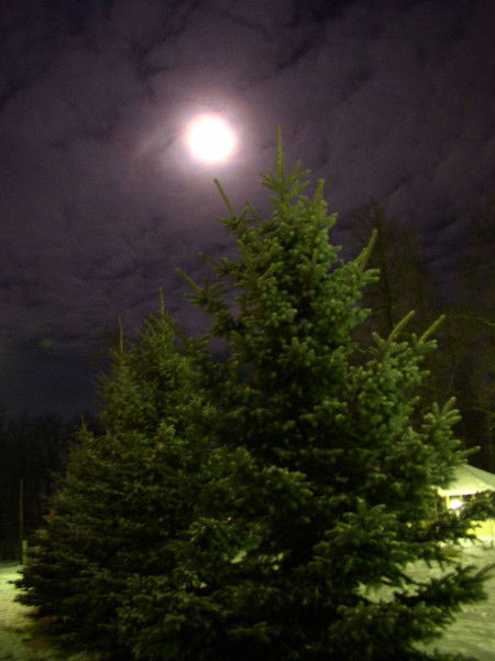 Дмитрий Назаров