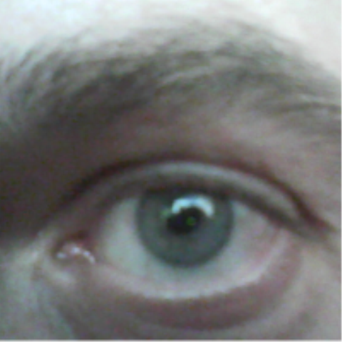 Алексей Колезнев