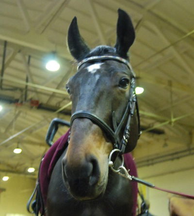 Настя Рихарт