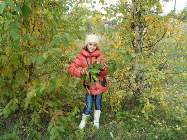 Екатерина Акашева