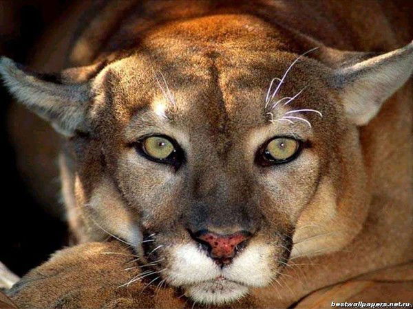 Виктория Иванова