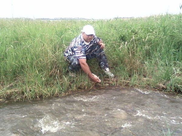 Евгений Довгалев