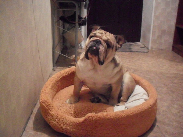 Юрий Колодин