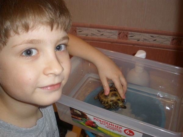 Даниил Львов