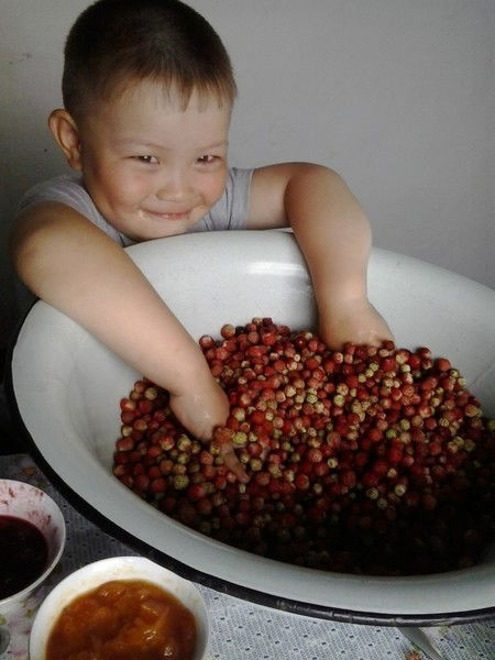 Толкын Амренова