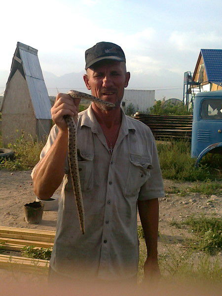 Александр Зенькин