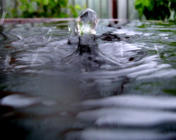 Наталья Лехциева