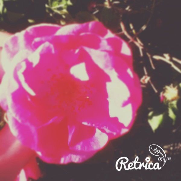 Гульсара Акетова