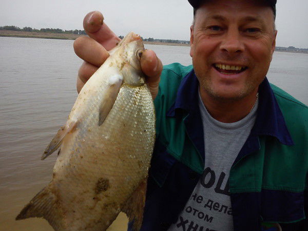 Василий Моисеев