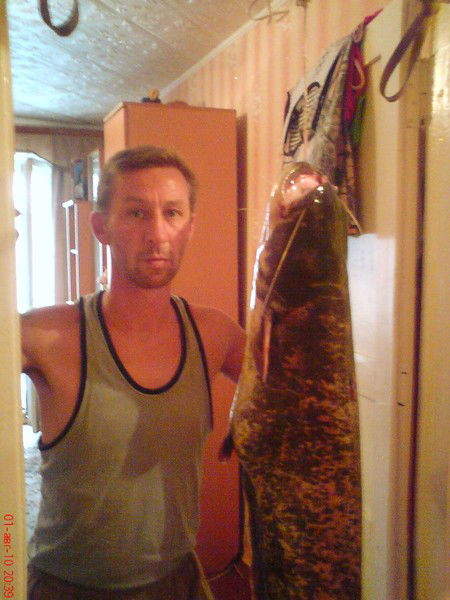 Андрей Плеханов