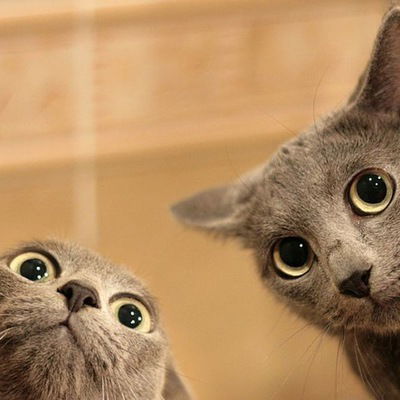 Аня Ноздрина