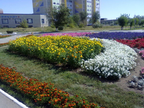 Светлана Финкбайнер