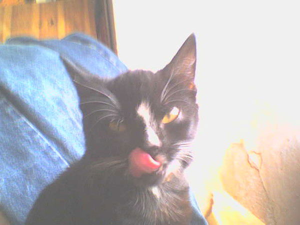 Мария Копчикова