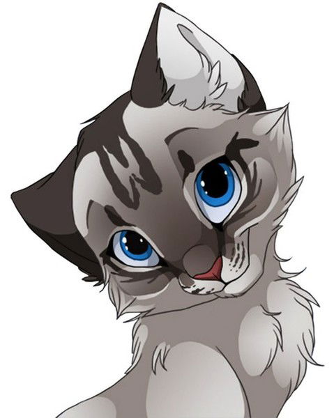 Анастасия Сиренко