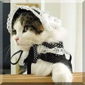 Галина Богданова