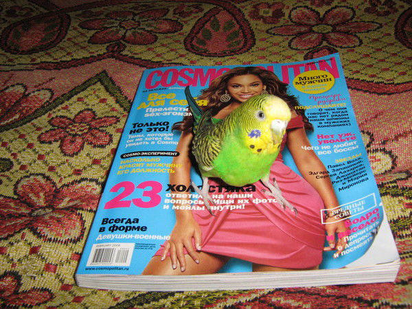 Елена Московцева