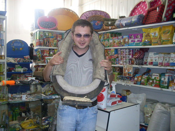 Вячеслав Заболотный