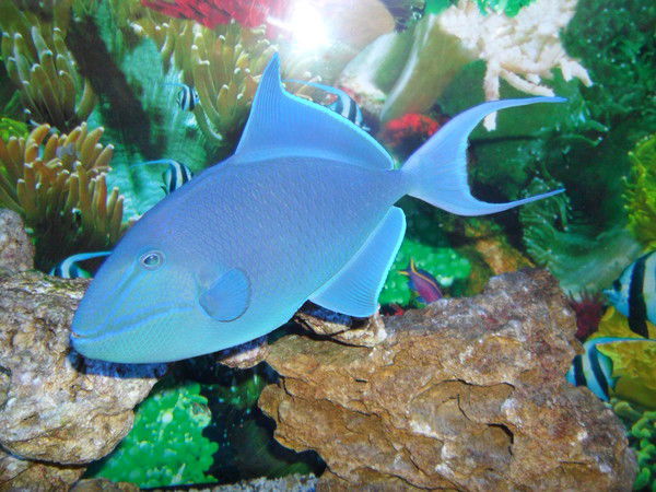 Олег Зольников