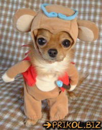 Руслан Степаненко