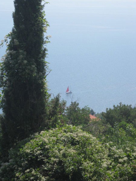 Олег Викторович