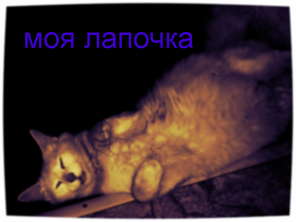 Надежда Сербиненко