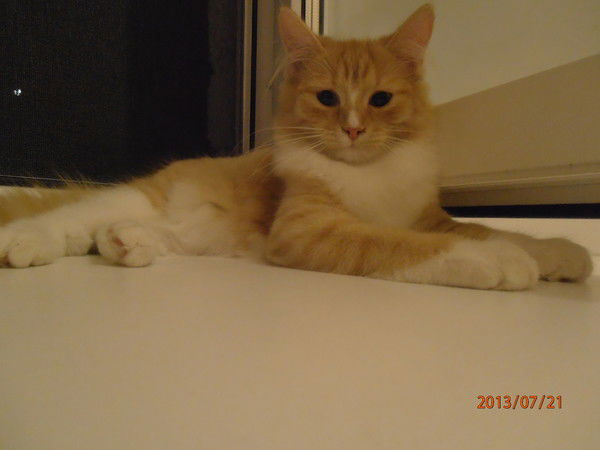 Максим Зубарев