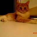 Максим Зубарев