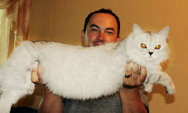 Наиль Ярлыкапов