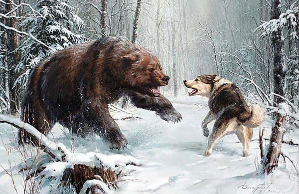 Dava Krasava Колбик