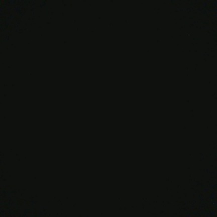 Алексей Орехов