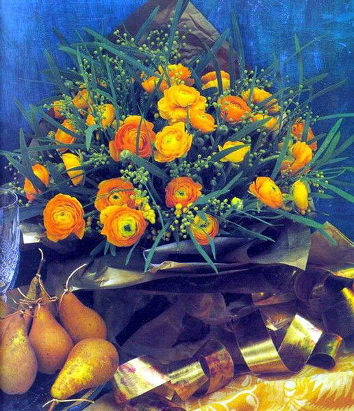 Елена Колпакова