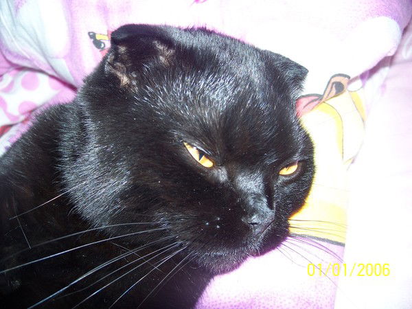 Владимир Самарский